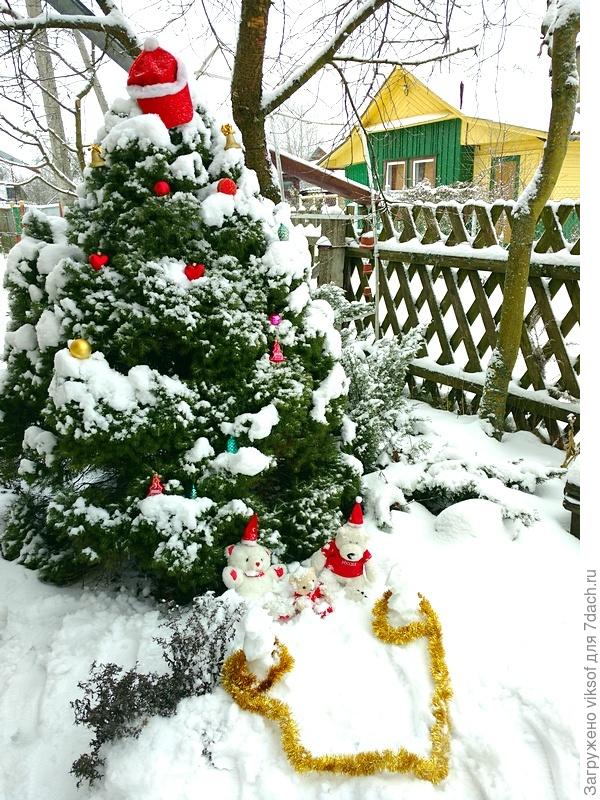 Так было! Теперь до конца марта не буду снимать украшения с Коники