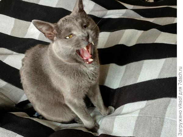 О-р-ё-т и требует, чтобы на дачу с собою брали