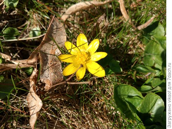 В парке солнышко горит,