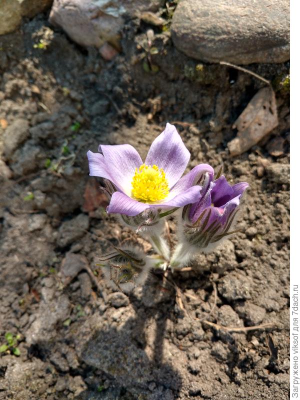 В-о-т какие!!!