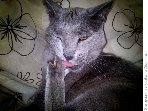 собирается в гости