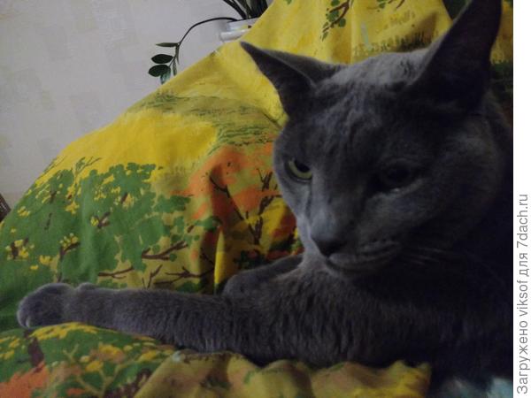 Хозяин! Готов к труду и обороне!