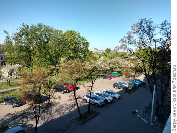 Во дворе дома, только акация голенькая, а и сиреневые грозди цвести собираются.