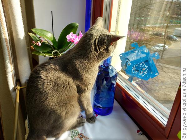 А Витас по примеру Феденьки готов открыть крепенького...