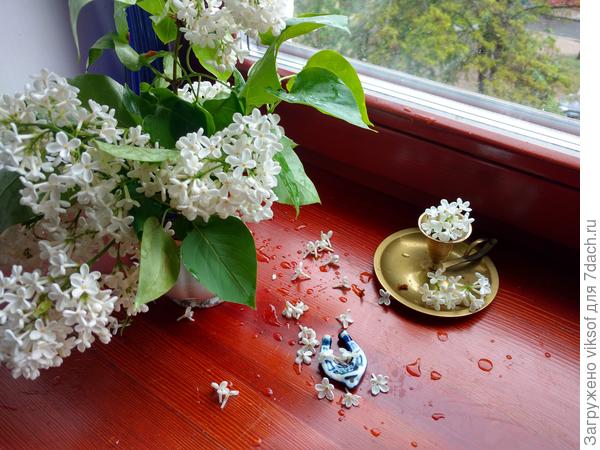 Здесь и для тебя есть счастливый цветочек