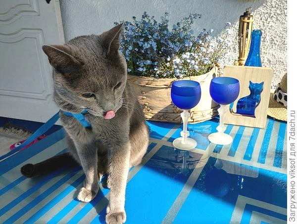 а как же ж без Витаса, а никак. рядышком сидит