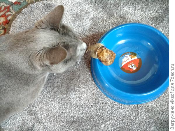 Если, только поговорить