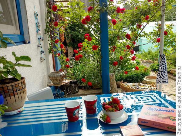 Вот так начинается наше июньское утро, открываю дверь и вижу нашу красавицу