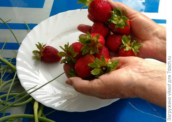 Первая самая сладкая, самая вкусная - тебе за кусочек пирога!