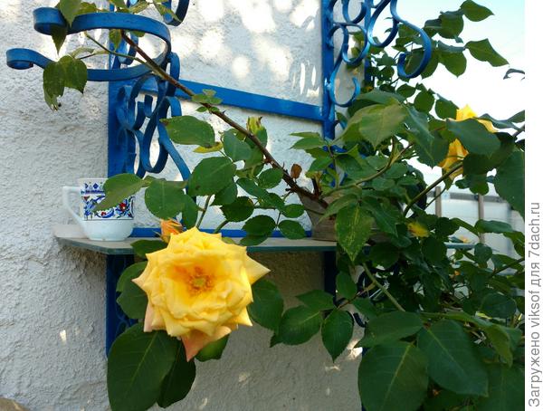 вот такой была день назад