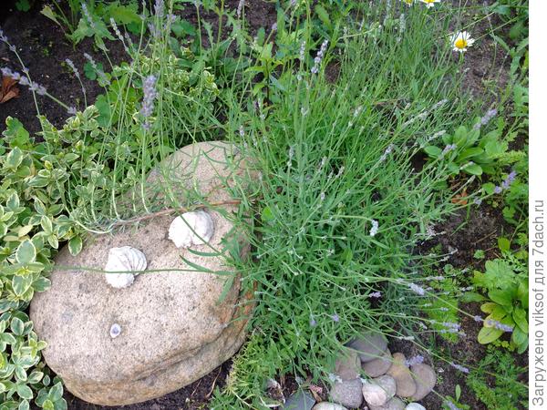 и будет счастье!