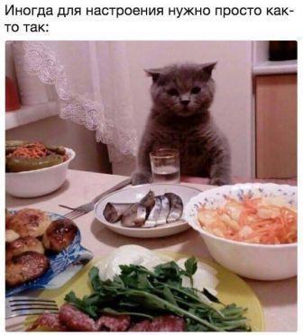 Конечно, этот зимний вариант не очень в жару, но если в продуваемой беседке и Фсё ОХЛАДИТЬ. то и летним вечерком пойдёт, сейчас придёт Оленька и опять скажет.., что у меня ФСЁ сводится.., а я и не отрекаюсь: от селёдочки мне сложно отказаться даже в жару (фото из интернета)