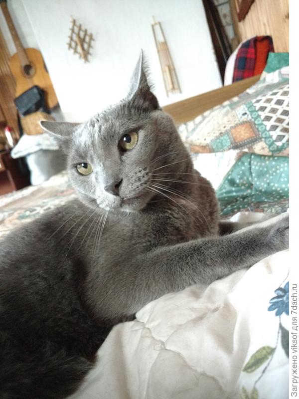 Неее, я мыло не люблю, я коготочки свои исключительно о садовое кресло точу, а так ни-ни...