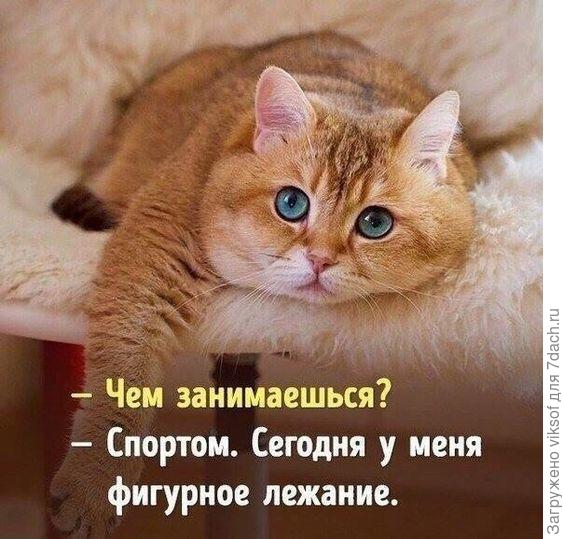 вот и Витас обожает такой вид спорта