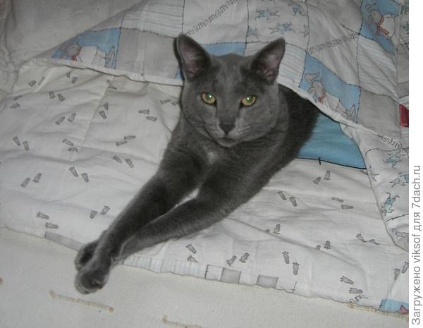 Витас раненько проснулся, чтобы тебя поздравить, да интернет у нас даче ... не позволил это сделать