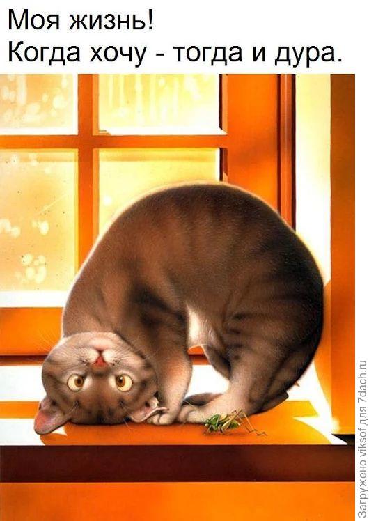 А ведь правду люди говорят: на пенсии жизнь только начинается!