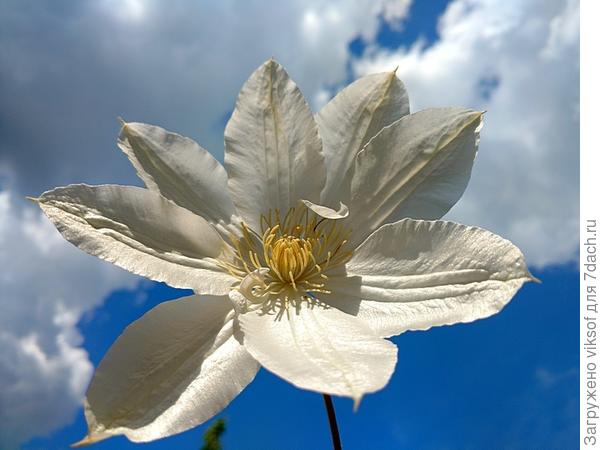 Как не удивляться жизни - она прекрасна!