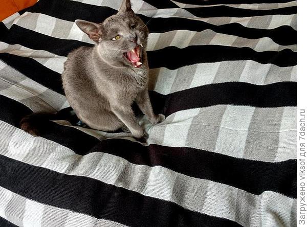 Взял самую высокую ноту!