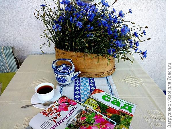 А васильки!? Это ж чудо! Лепота! Уверена, что ты, Рушаночка, меня понимаешь и за это - спасибо!