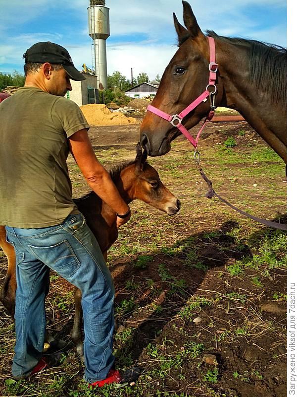 здравствуй, сынок!