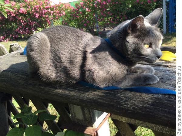 С утра на таможне