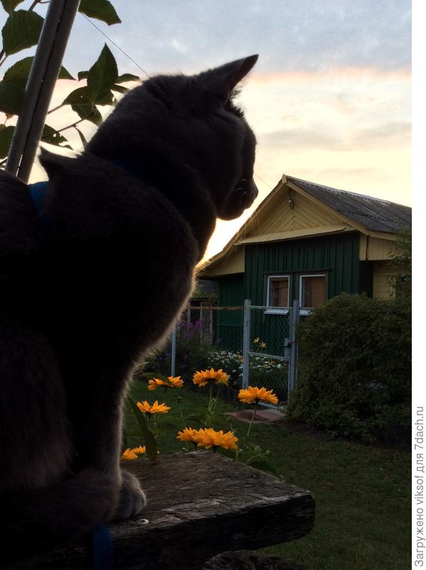 А мой с утра до вечера на таможне &mdash; ходЮт тут всякие...