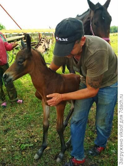 Наташенька, а этот красавчик тоже в июле родился, здесь ему всего-то несколько часов!