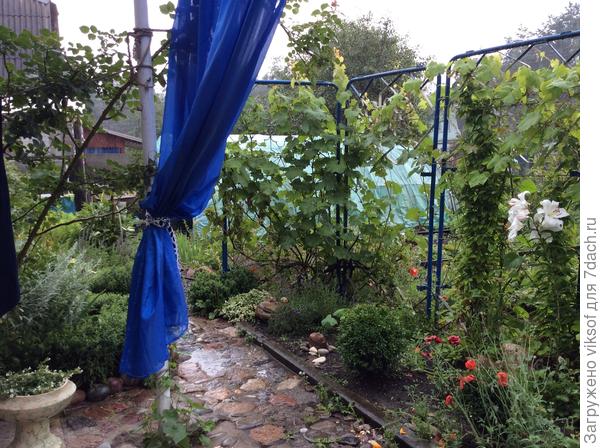 Очень люблю дождь, но он так зачастил к нам, что поехали мыв город