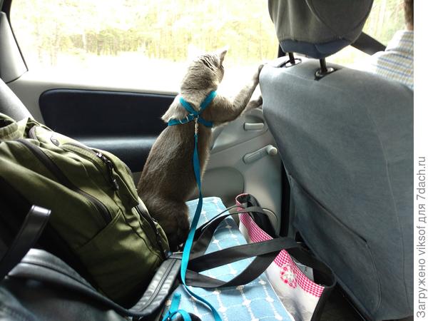 пока дома побудем да и похолодало очень