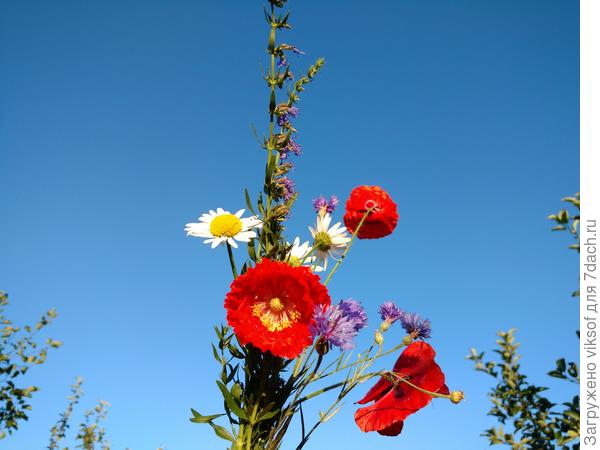 и я красок добавлю!