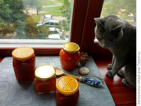 и везде-то твои баночки, наверное и Бусеньке полежать негде, как вы все хозяйки при своих заготовках похожи ... банки, кругом банки.., а они нам котам нужны?