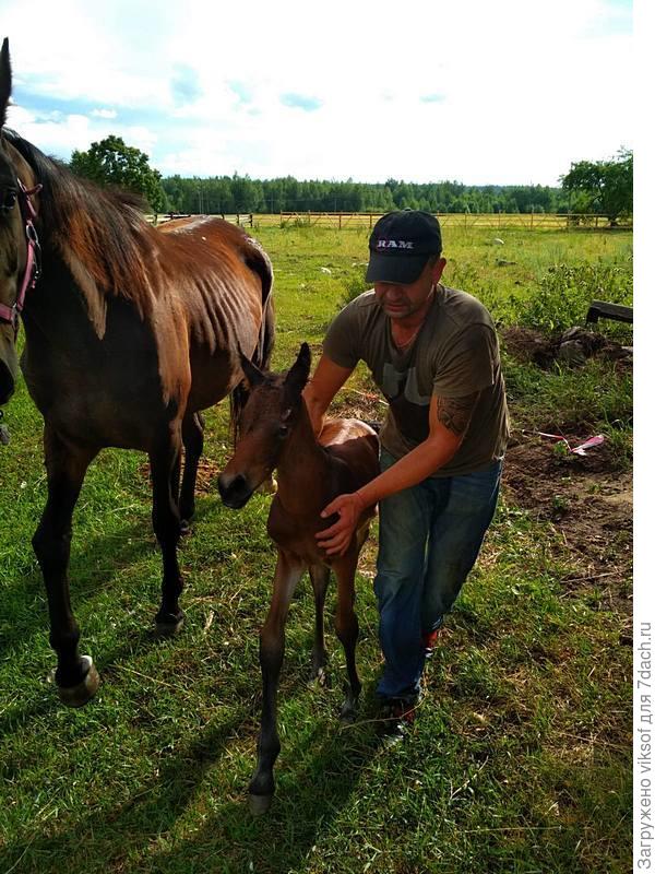первые шаги