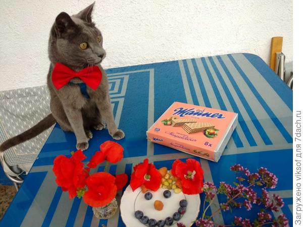 А как же без Витаса, его же не огставишь одного, он всегда с нами и тоже поздравляет тебя!