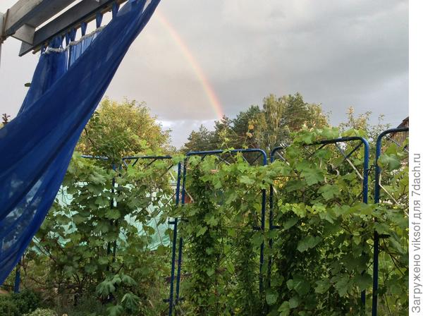 Вчера был сильный ливень, а я стояла под дождём и вдруг! Радуга!