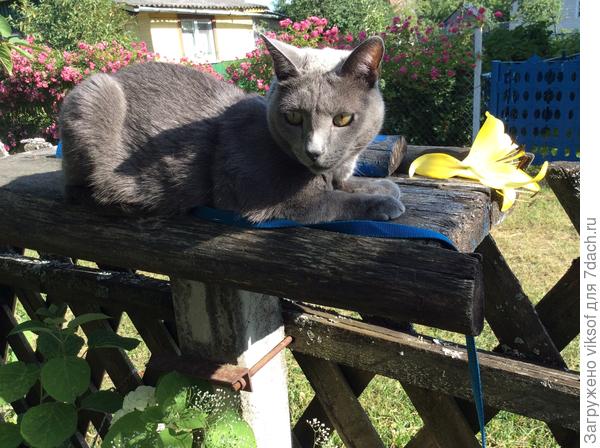 И как всегда &mdash; мой Витас!