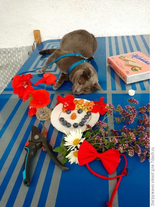 Витас сейчас оденет бабочку и прямой наводкой к тебе