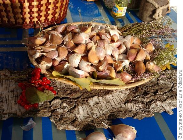 а лучшие зубки на посадку