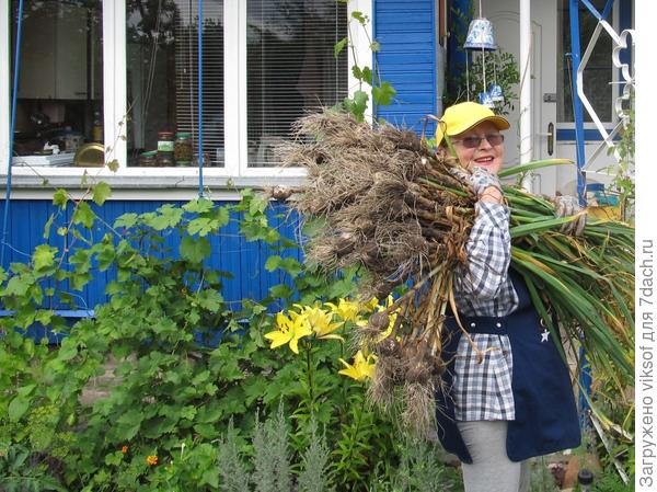 и в Питер передам, и в заготовочки, и на зиму хватит,