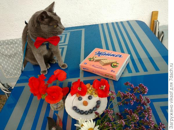 Кот Витас тоже шлёт самые замурррчательные пожелания!