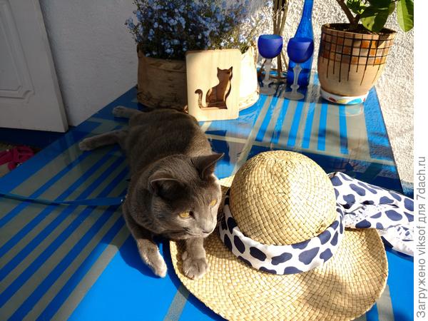 А как же без Витаса, он всё лето на даче