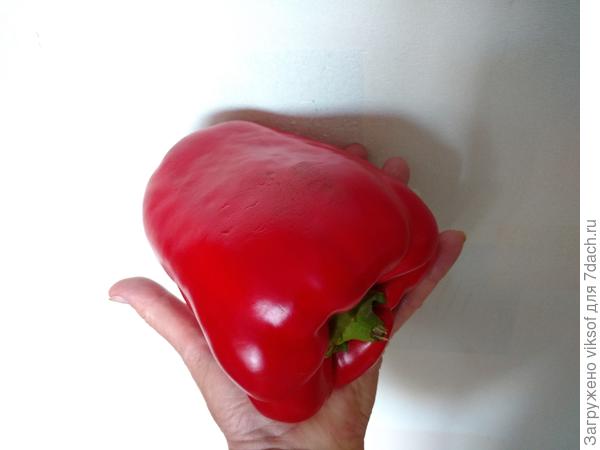 Ладошка моя совсем не видна...