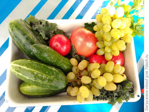 Это остатки сладки, лето уходит, но в деревне Бабино будет Бабье лето!