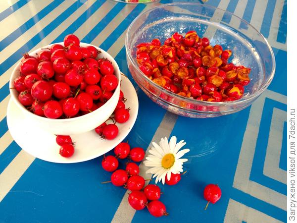 Вот, удалила все косточки, но и с косточками варенье сварила