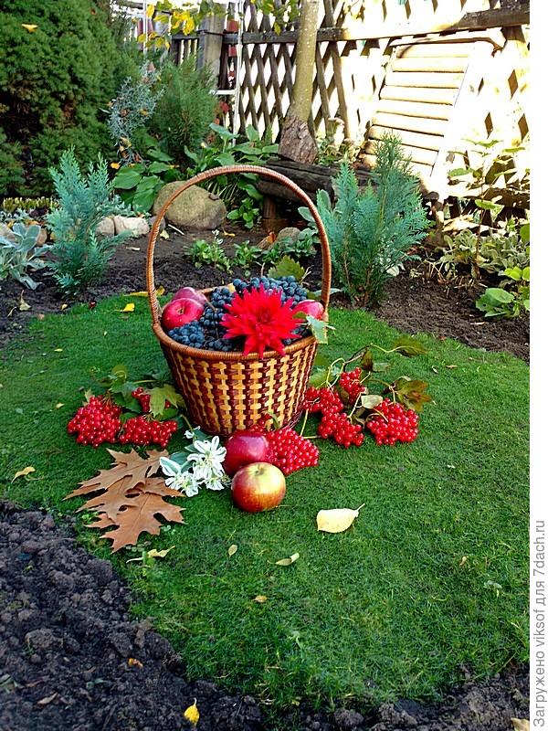 а огурчики уже съели