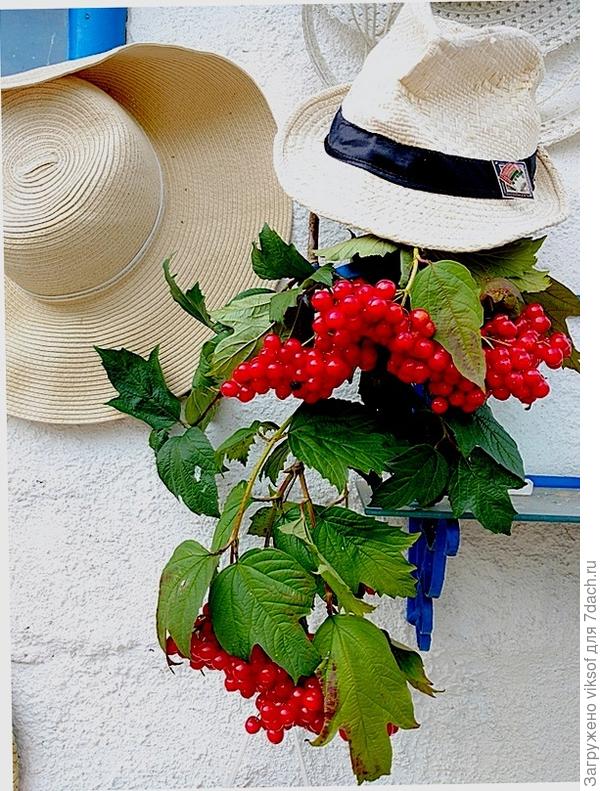 ... и это большое счастье!