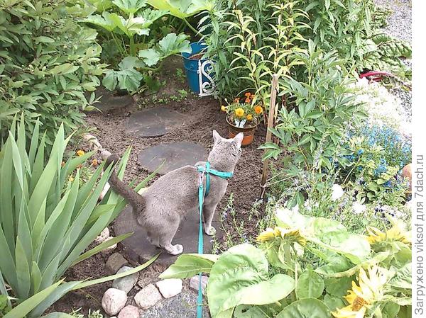 утренний обход