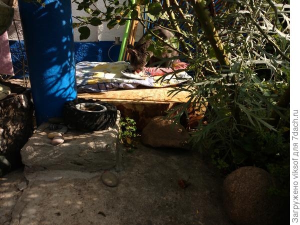 Ранним утром здесь солнечно и тёпленько