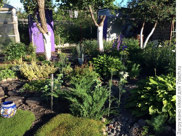 Слева лежат спилы из старой груши