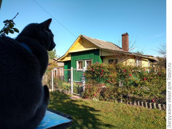 На посту, на таможенном