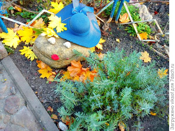 Лерочка, ну никак не могу похвастаться и осенней лавандой - всегда восхищаюсь тем, как из крохотного зёрнышка вырастает такое чудо и очень горжусь - это моя лаванда, ну и Жаба моя каменная красотка хороша